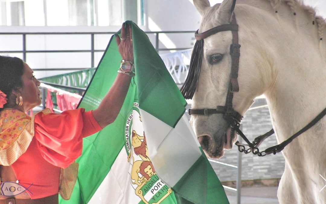 NOTICIA DEL DIA DE ANDALUCIA