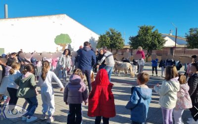 Inclusión Real en Beas: Las Jornadas que Derribaron Prejuicios en el Día Internacional de la Discapacidad